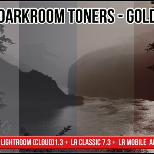 Darkroom Toners - Gold Profilescover image.