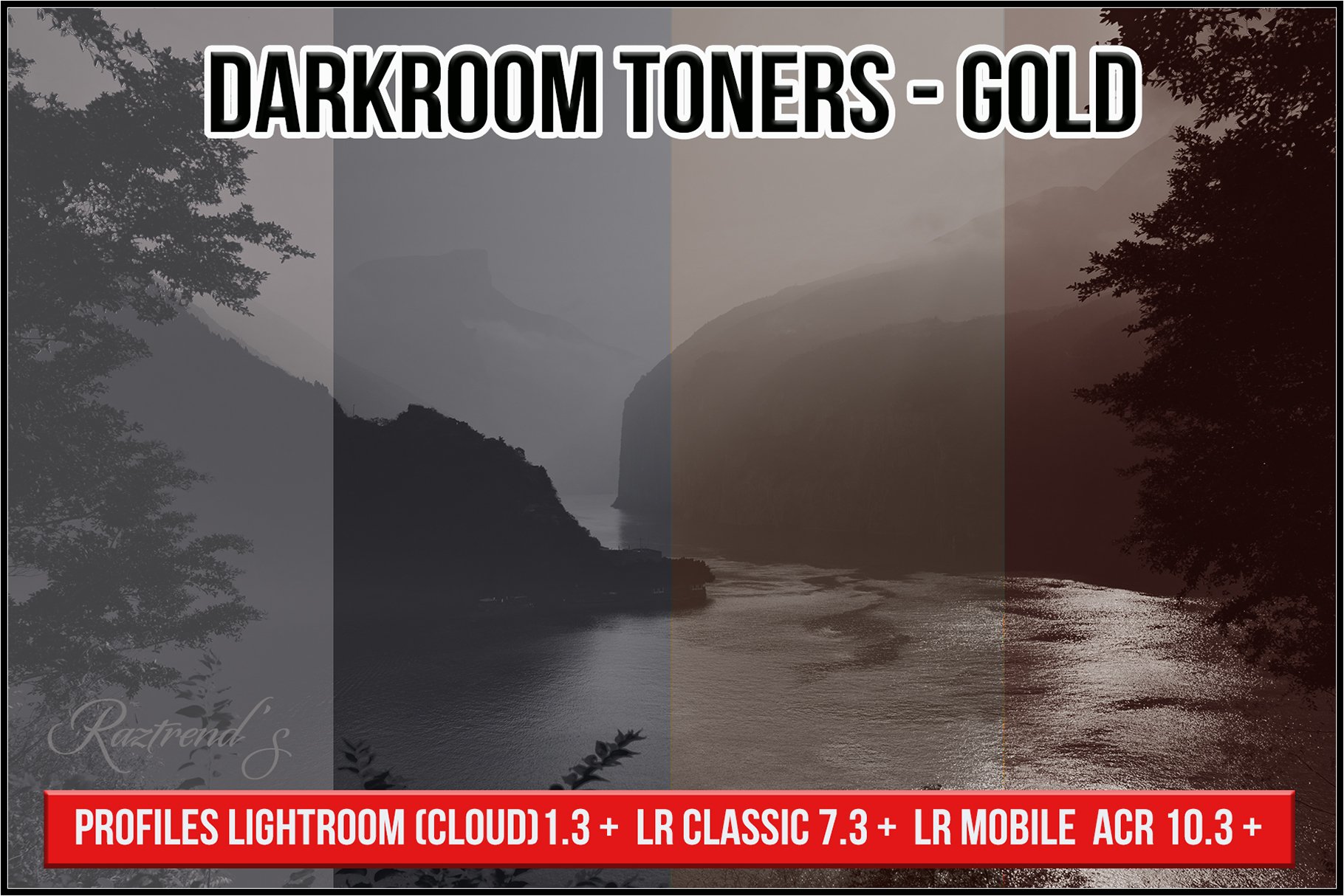 Darkroom Toners - Gold Profilescover image.