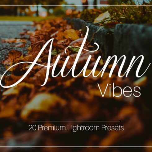 Autumn Vibes - Lightroom Presetscover image.
