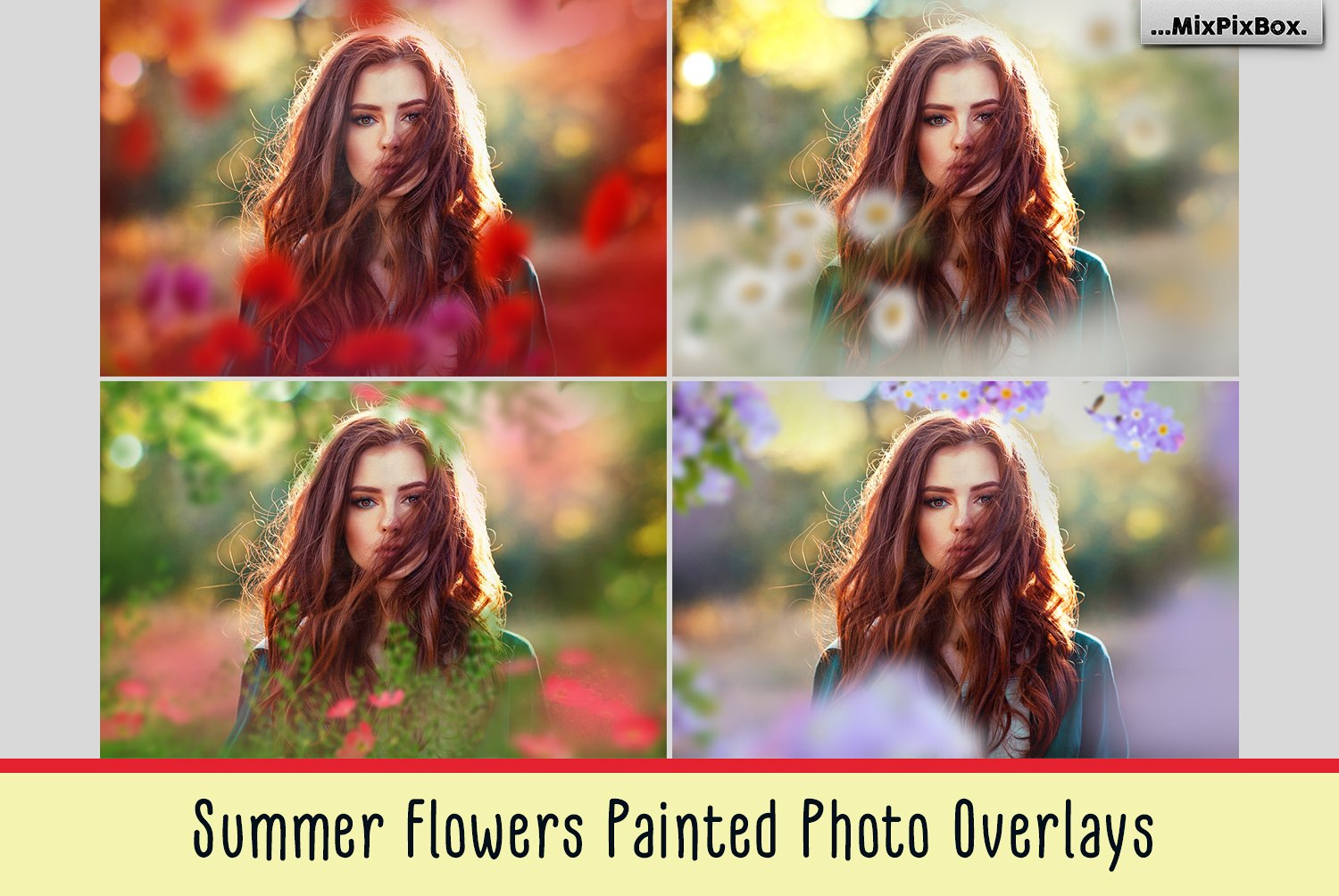 Summer Flowers Painted Overlayscover image.