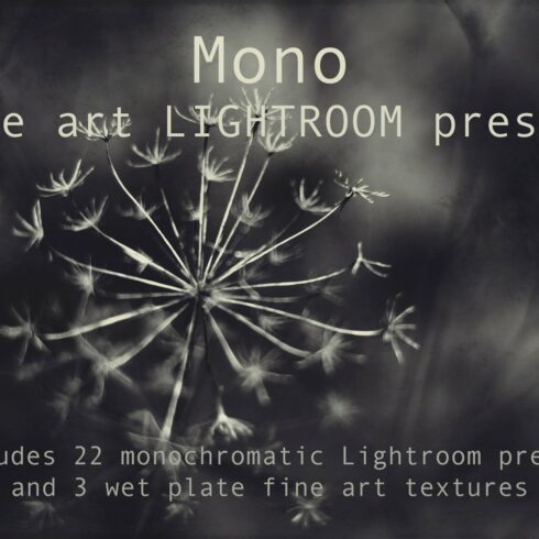Mono Fine Art Lightroom Presetscover image.