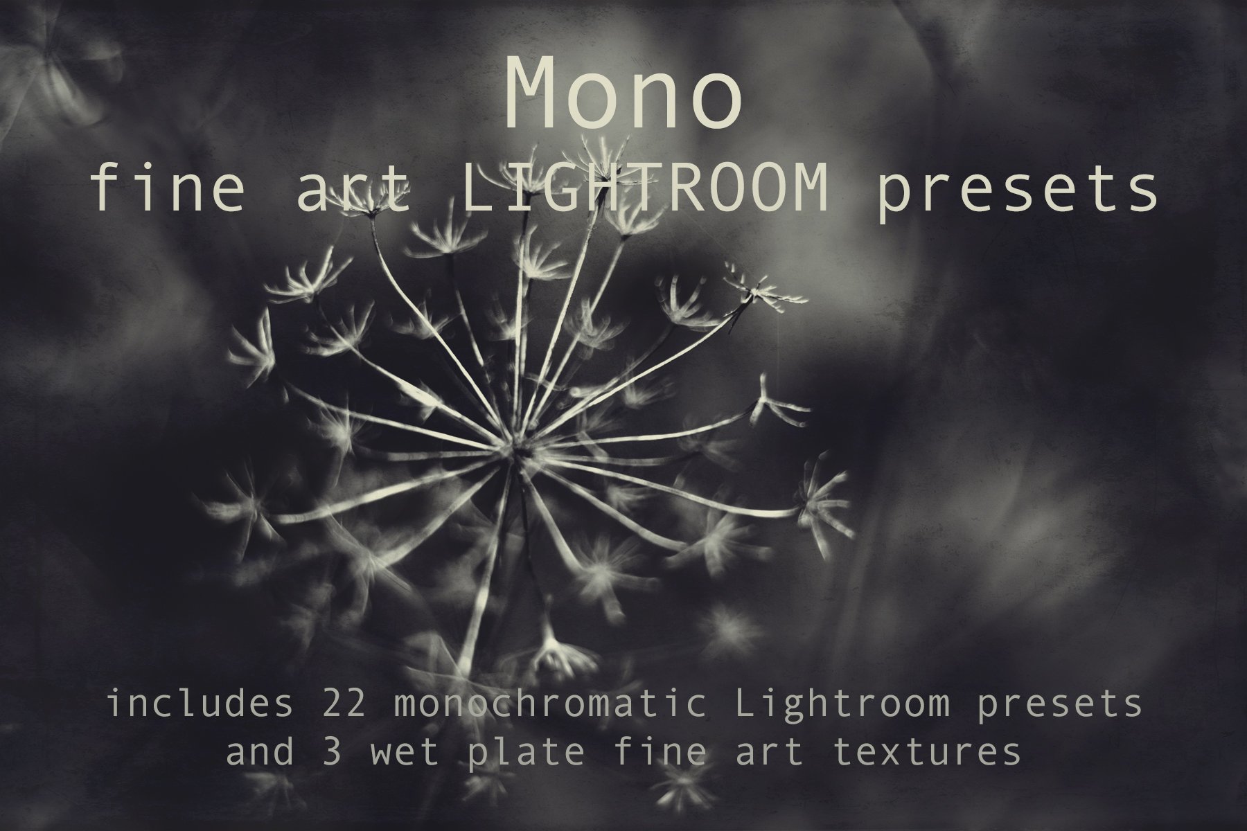 Mono Fine Art Lightroom Presetscover image.