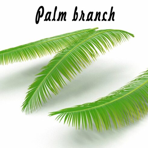 Palm branch cover image.
