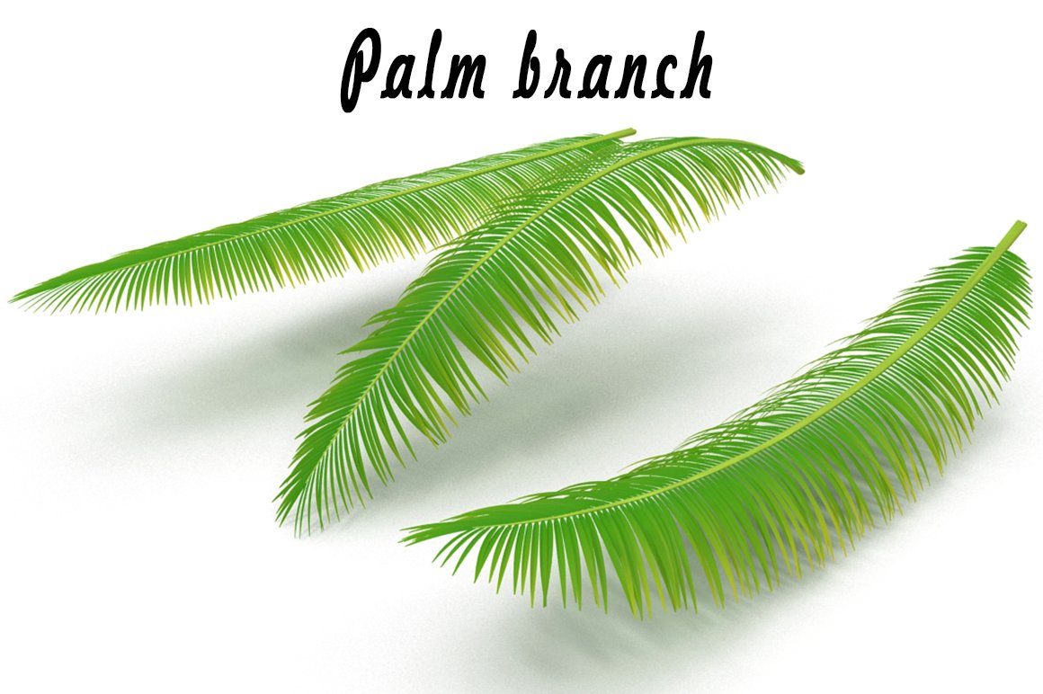 Palm branch cover image.