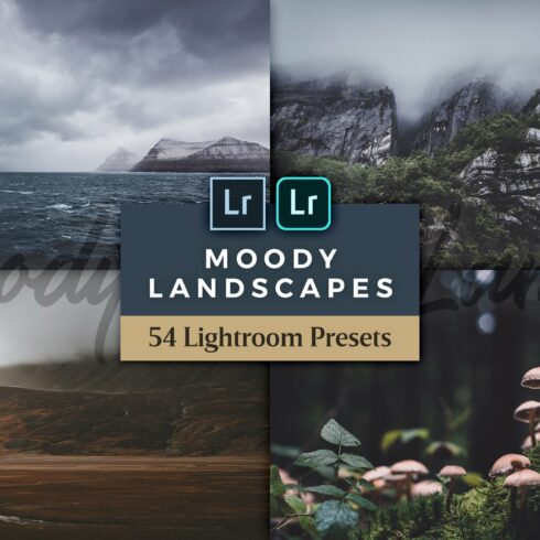 Moody Lightroom Presets - Landscapescover image.