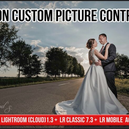 Nikon Custom Picture Controlscover image.