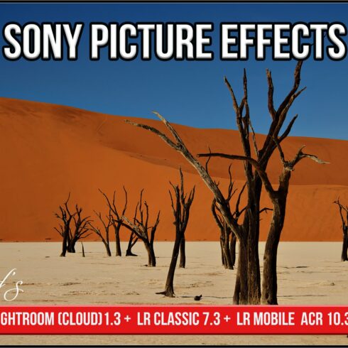 Sony Picture Effects profilescover image.