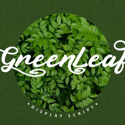 Green Leaf - Display Script cover image.