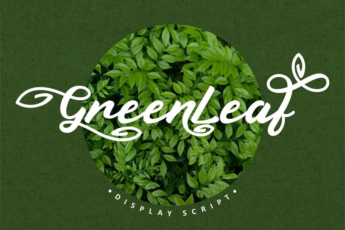 Green Leaf - Display Script cover image.