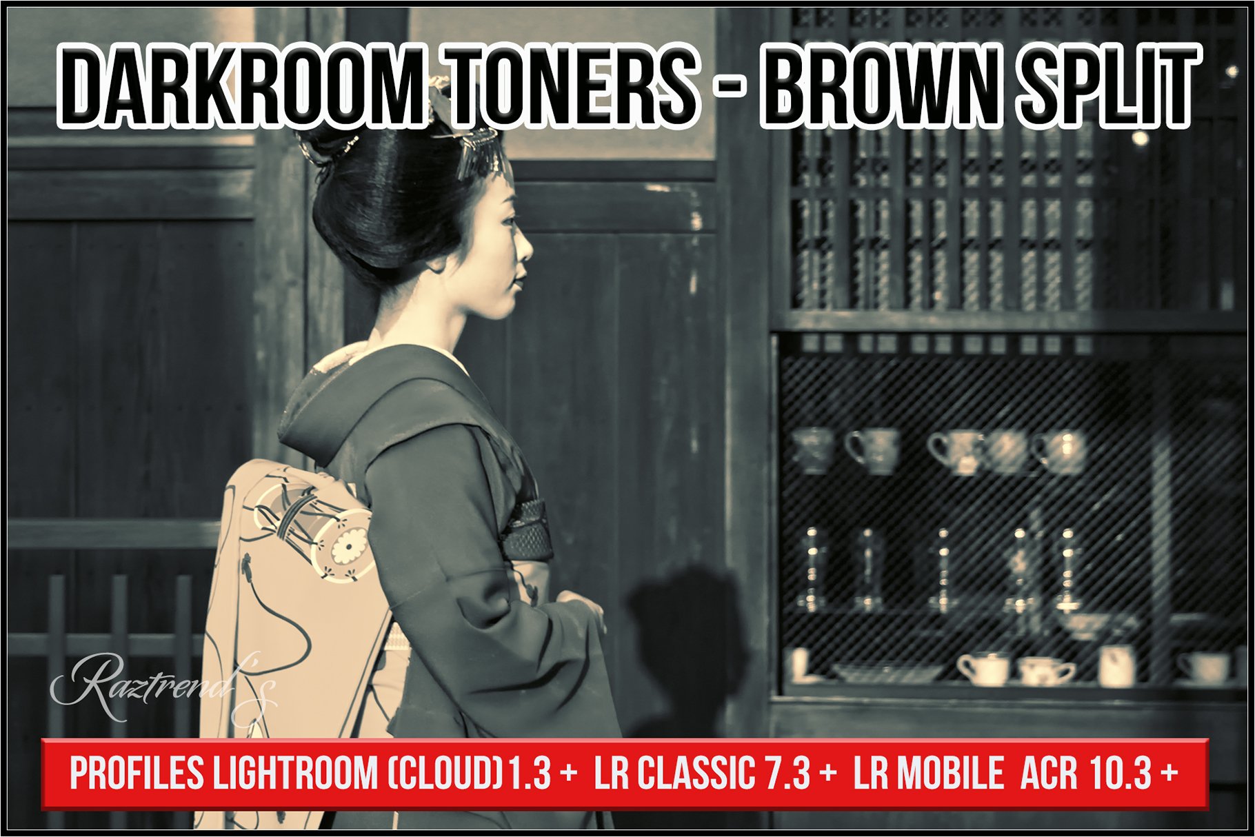 Darkroom Toners - Brown Splitcover image.