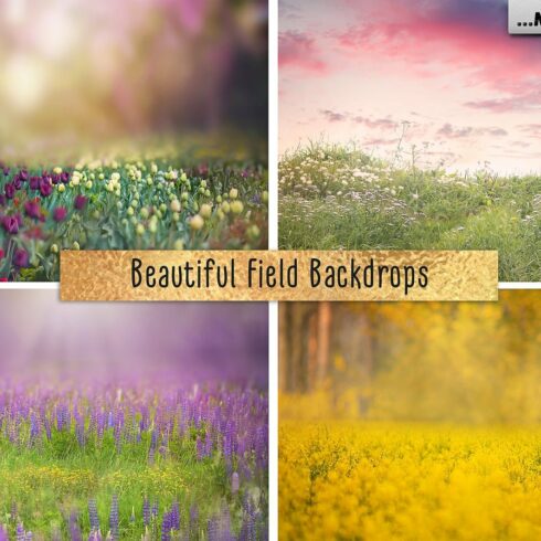 Beautiful Field Backdropscover image.