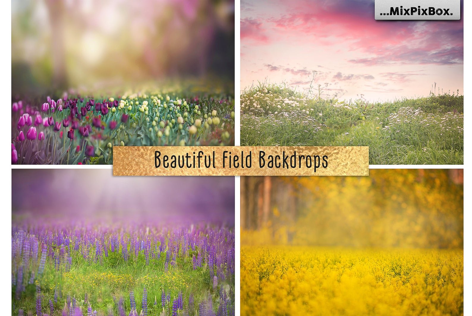 Beautiful Field Backdropscover image.