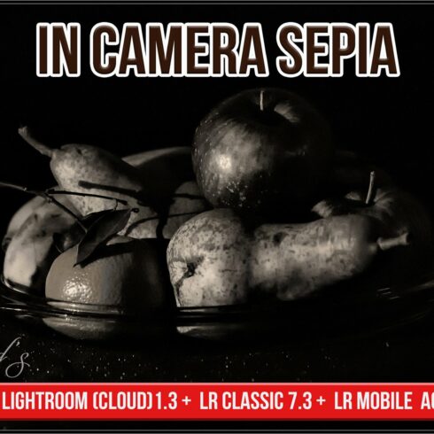 In Camera Sepia profiles LR LRC ACRcover image.