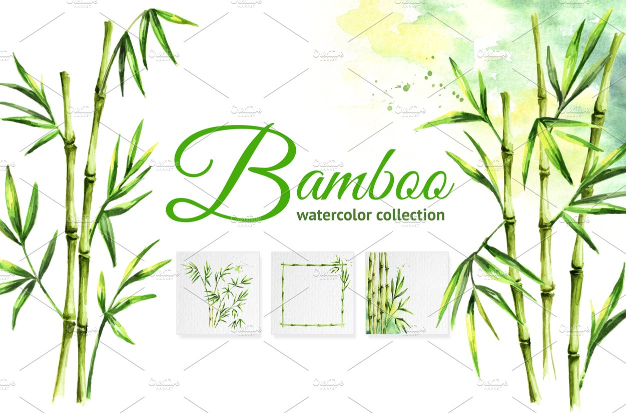 Bamboo. Watercolor collection cover image.