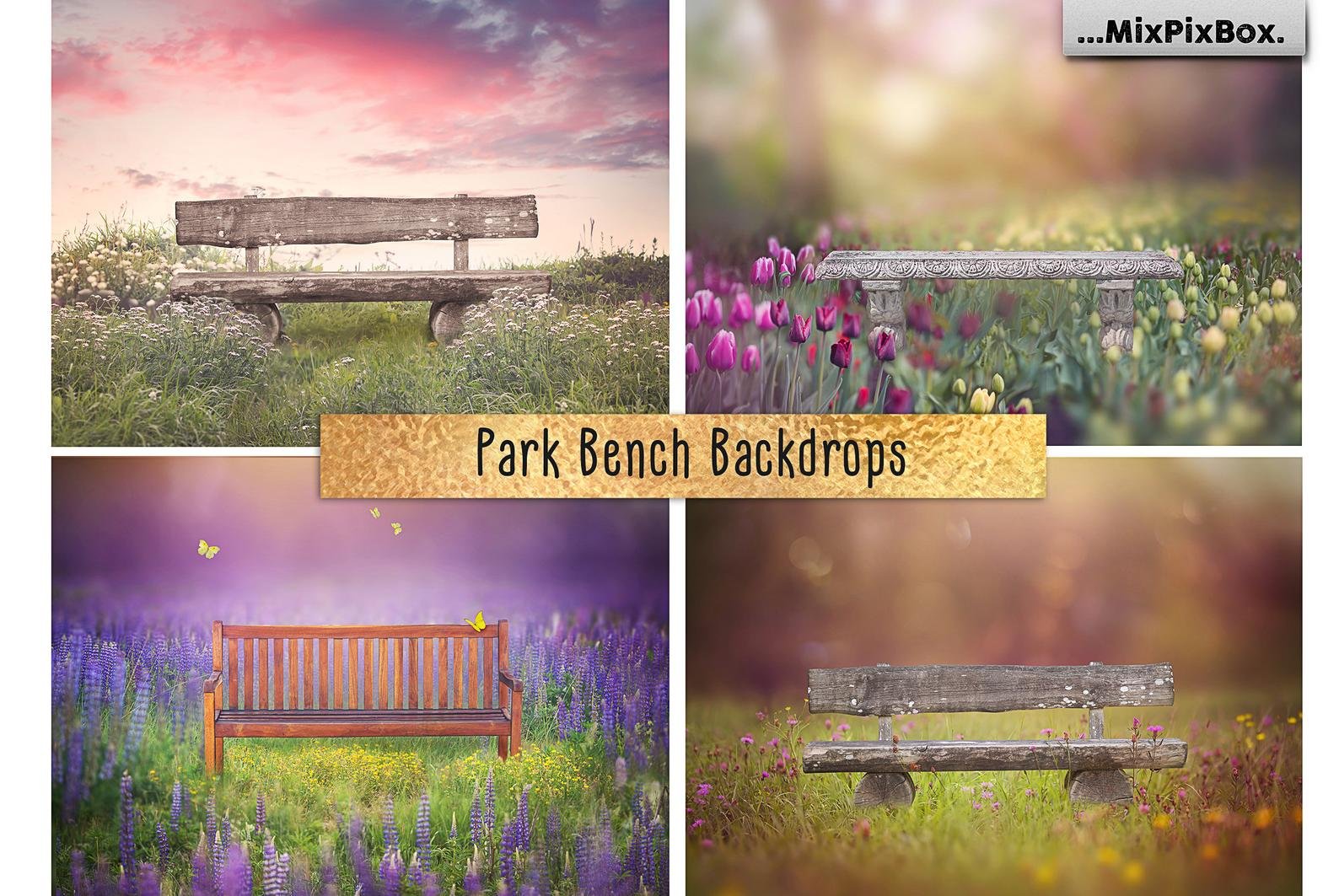 Park Bench Backdropscover image.