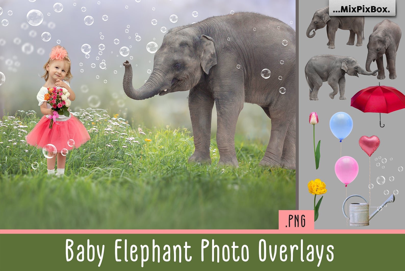 Baby Elephant Photo Overlayscover image.