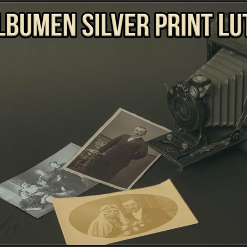 Albumen Silver Print LUTscover image.