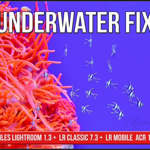 Underwater Fix Profiles for LR & ACRcover image.