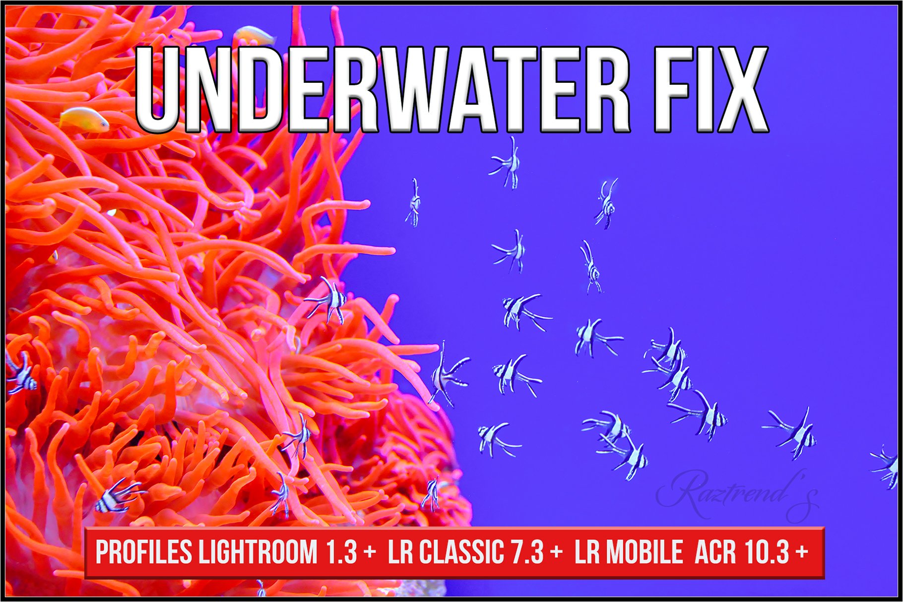Underwater Fix Profiles for LR & ACRcover image.