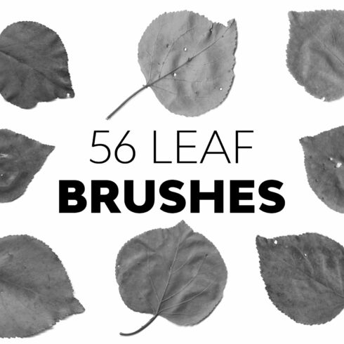 Leaf Brushescover image.