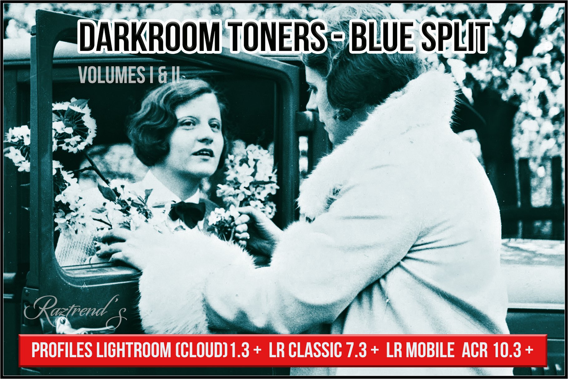 Darkroom Toners - Blue Splitcover image.