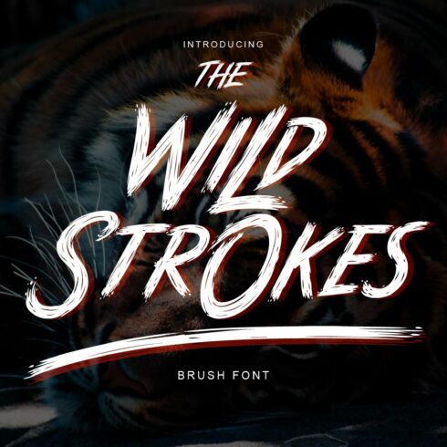 Wild Strokes cover image.