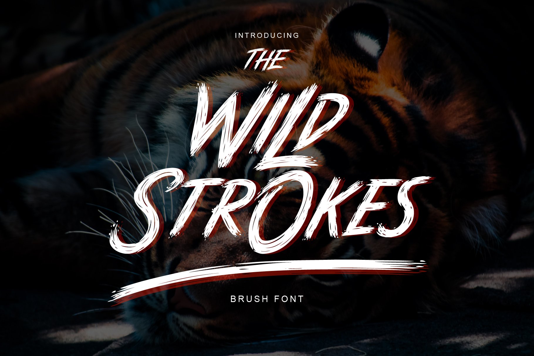 Wild Strokes cover image.