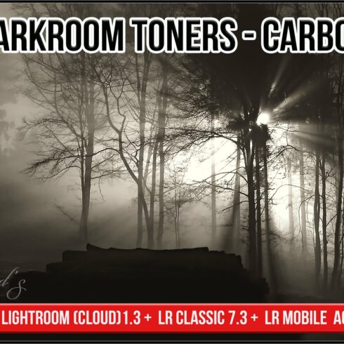 Darkroom Toners - Carboncover image.