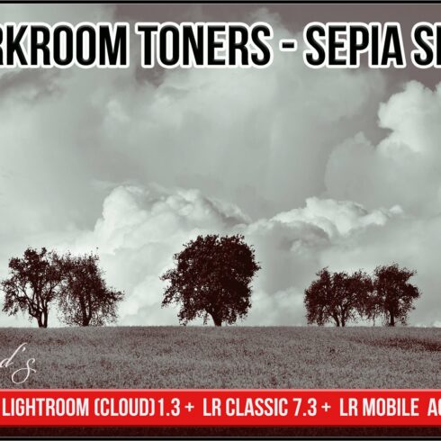Darkroom Toners - Sepia Splitcover image.