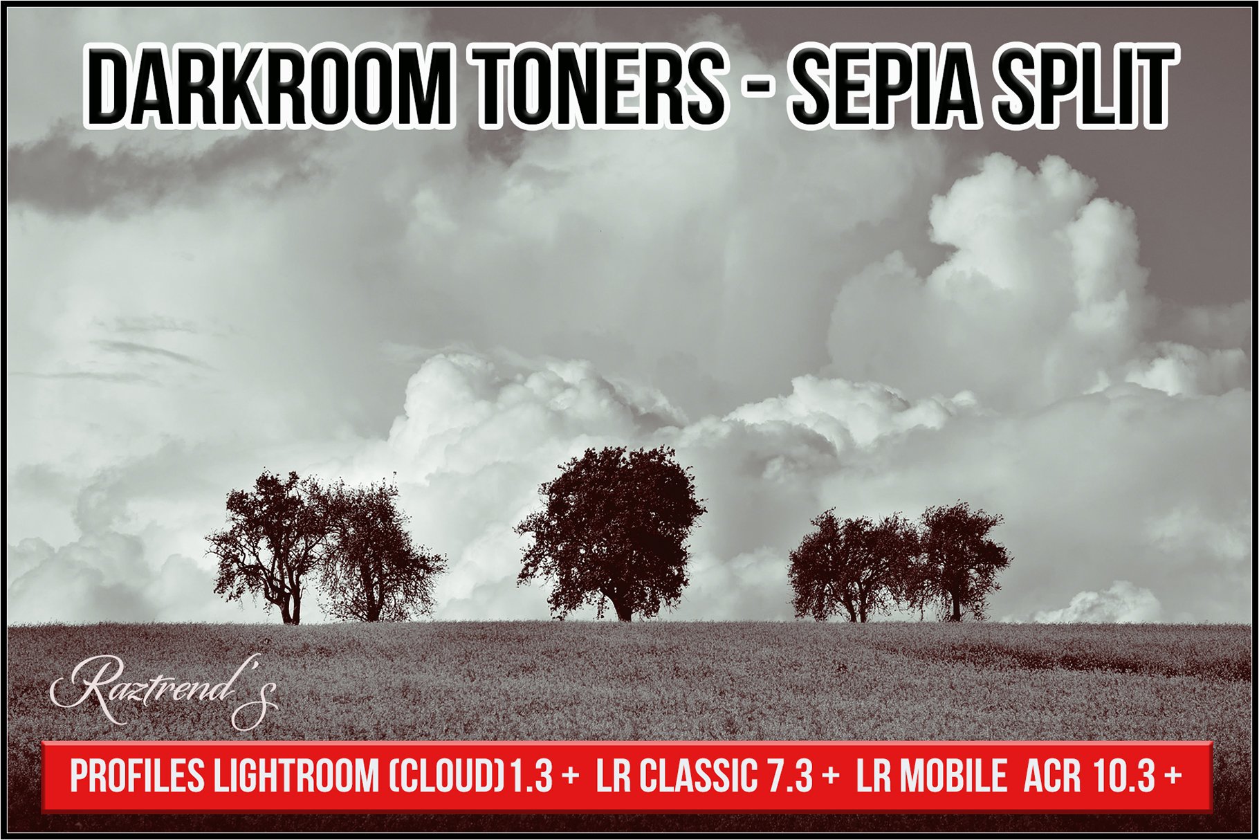 Darkroom Toners - Sepia Splitcover image.