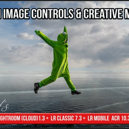 Ricoh Image Controls & Creative Modecover image.