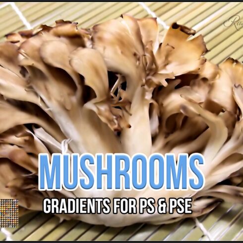 Mushrooms Gradientscover image.