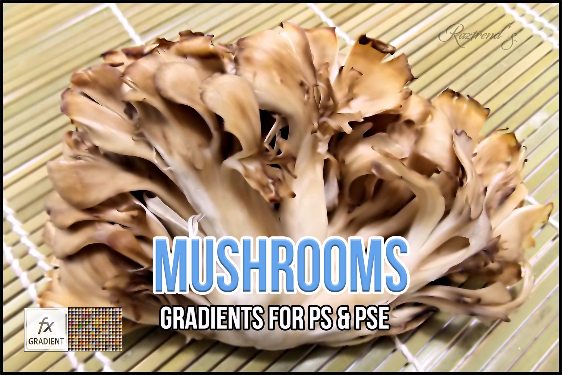 Mushrooms Gradientscover image.