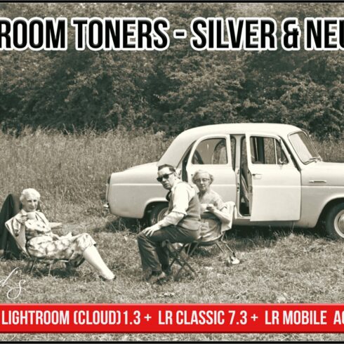 Darkroom Toners - Silver & Neutralcover image.