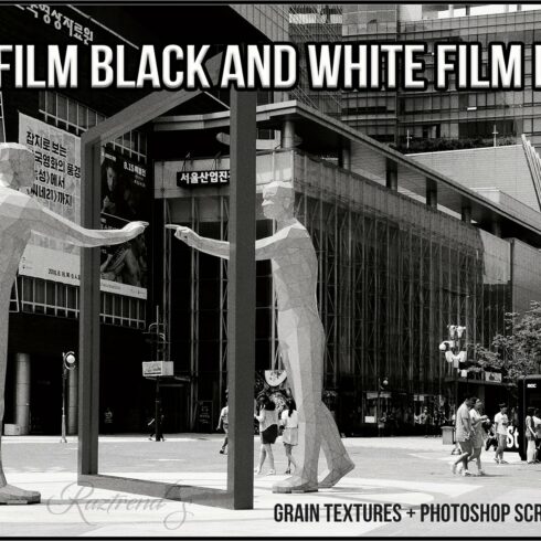 Fujifilm Black and White Film LUTscover image.