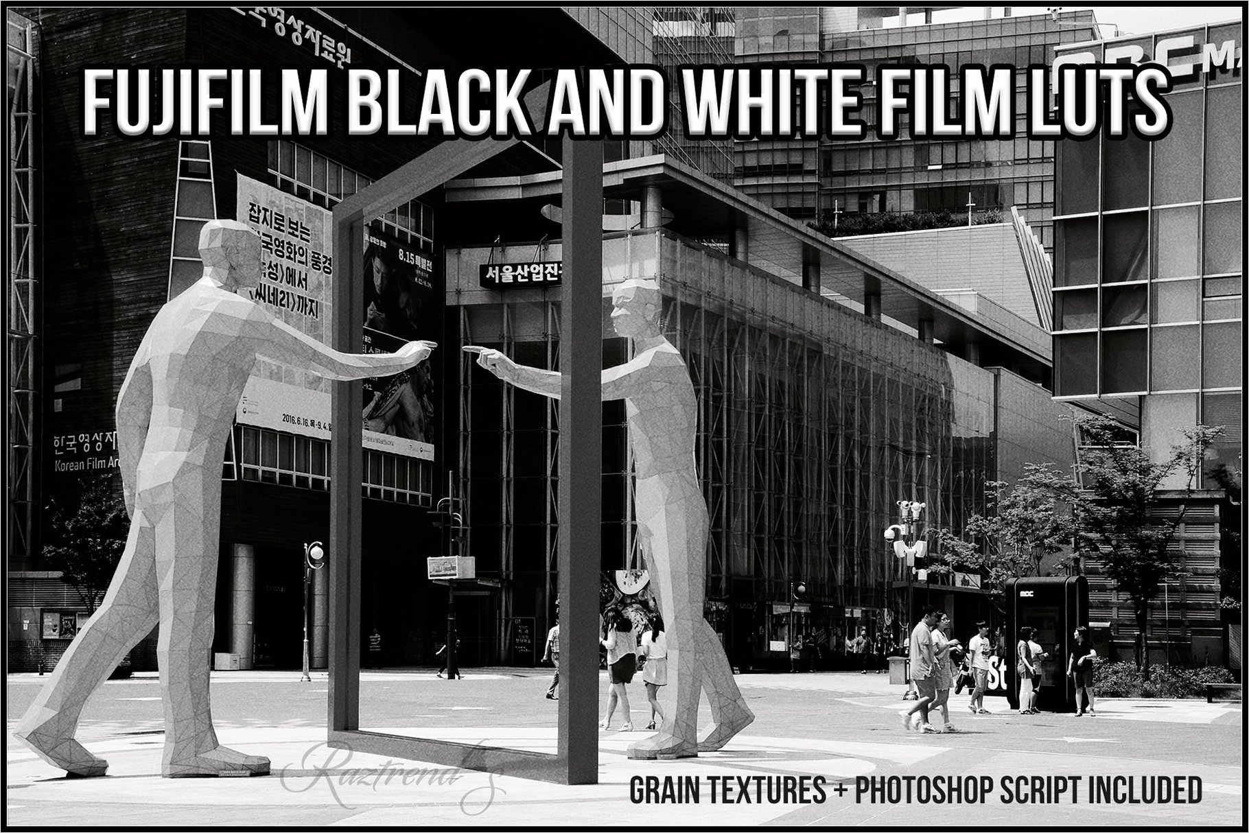 Fujifilm Black and White Film LUTscover image.