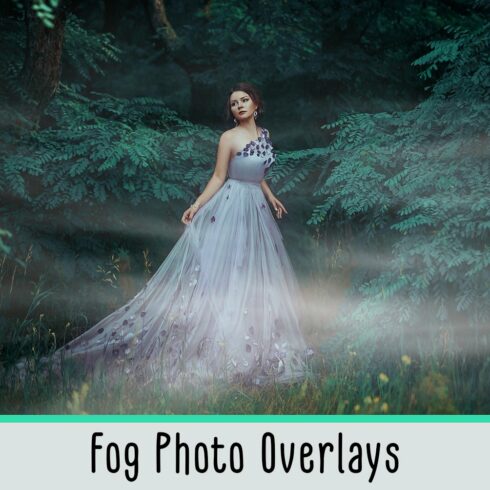 Fog Photo Overlayscover image.