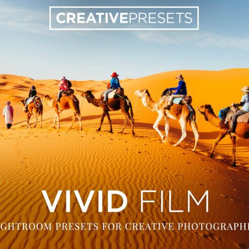 Vivid Film Lightroom Presetscover image.