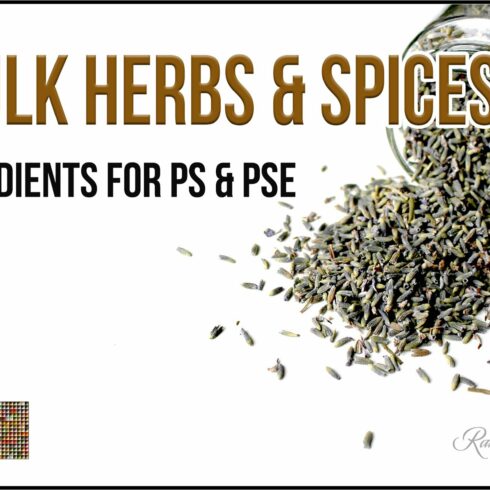 Bulk Herbs & Spices Gradientscover image.