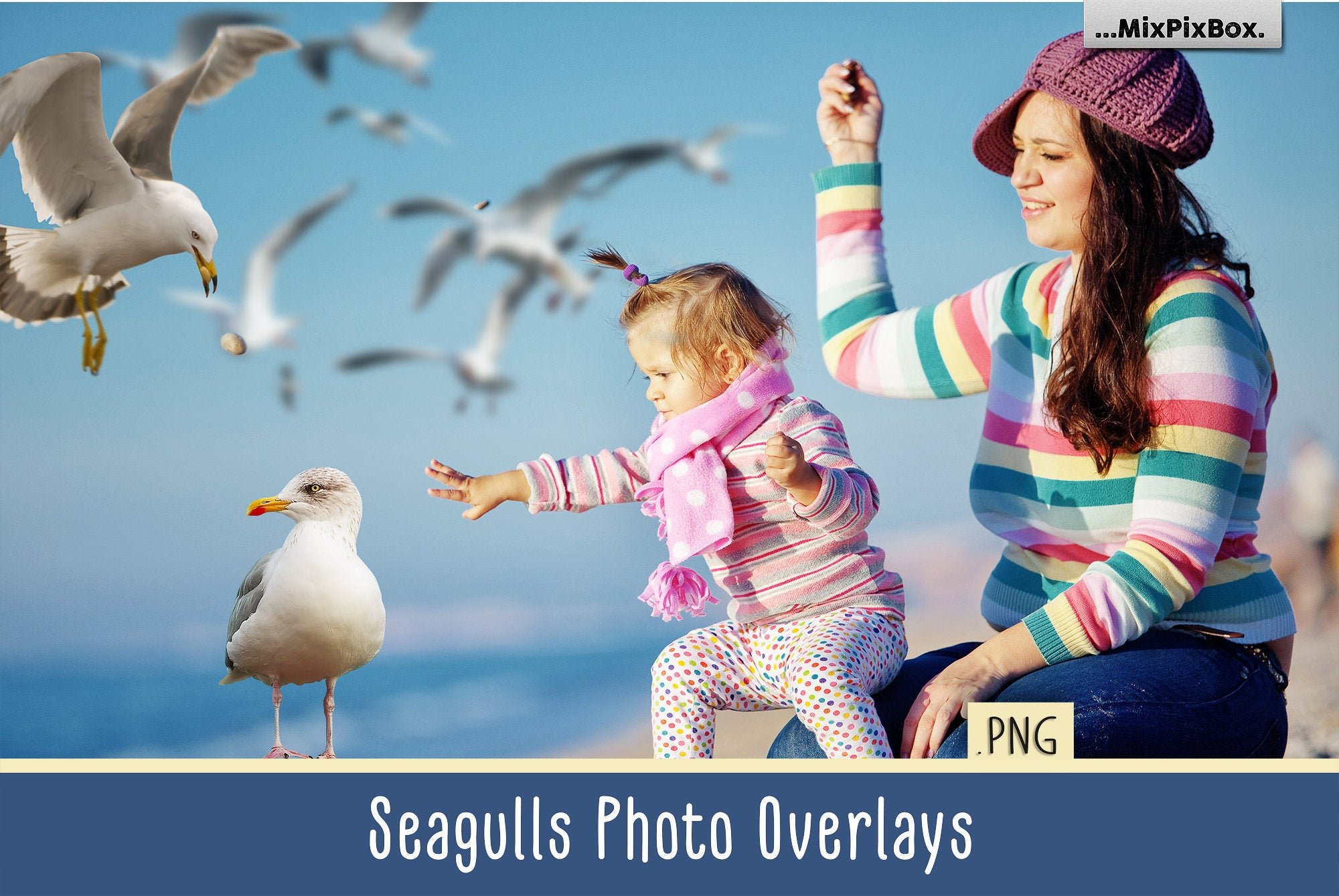 Seagulls Overlayscover image.