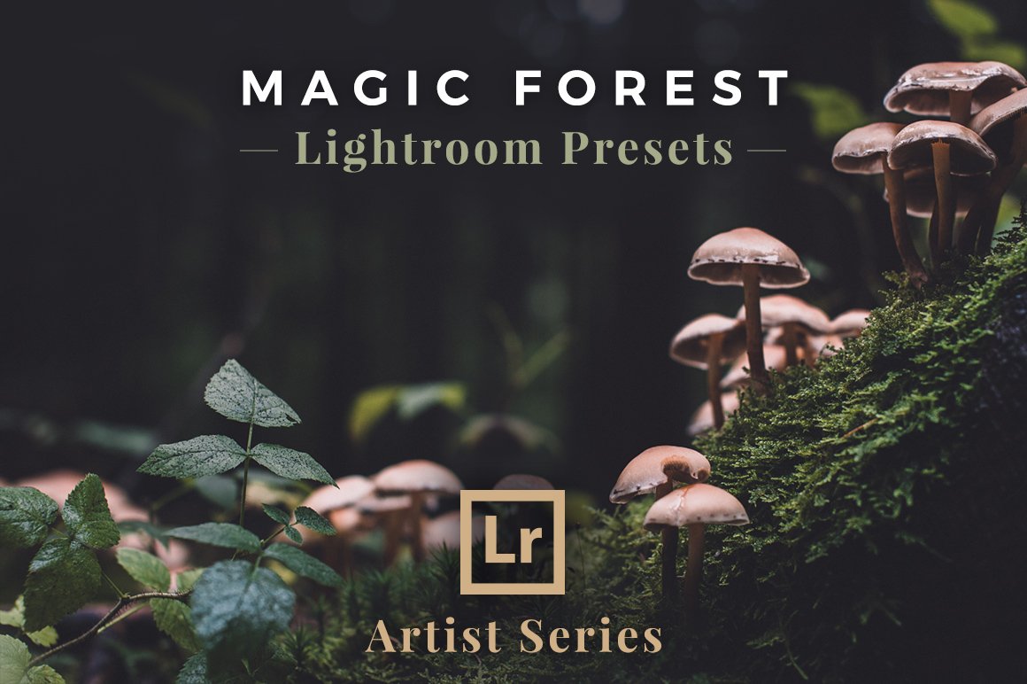 Magic Forest – Lightroom Presetspreview image.