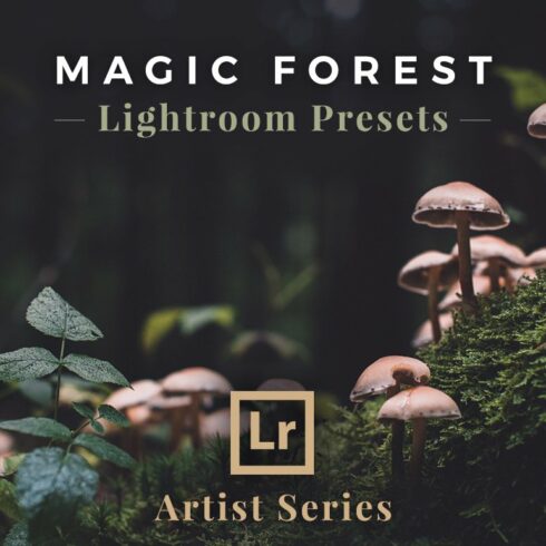 Magic Forest – Lightroom Presetscover image.