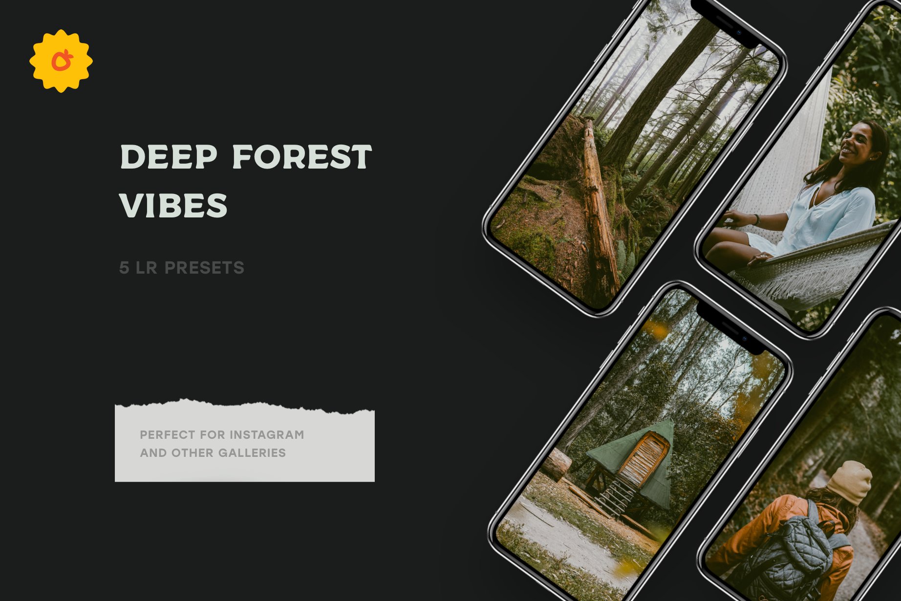 4 Forest Tales – Lightroom Presetspreview image.