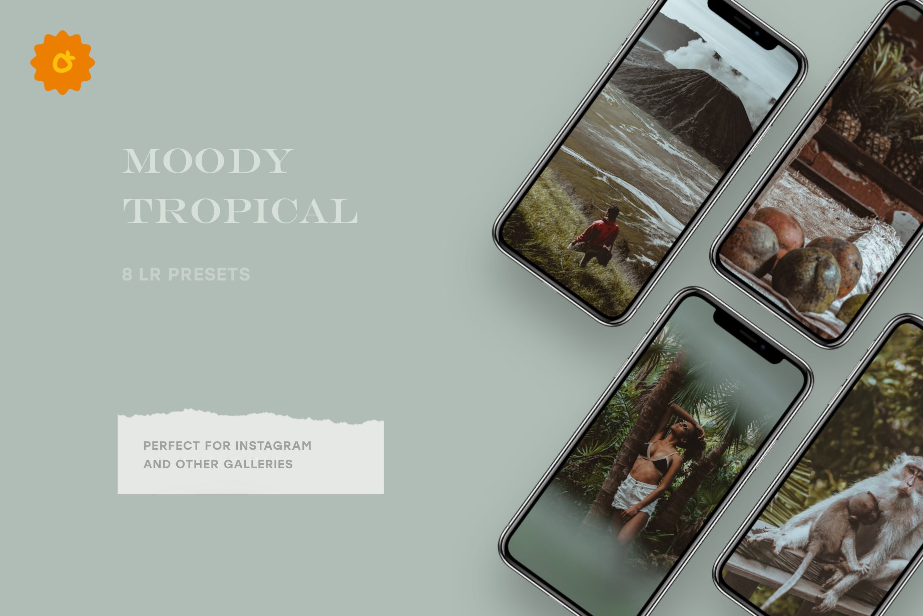 Aloha – 8 Lightroom Presets Packpreview image.