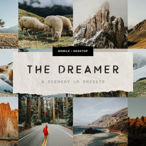 The Dreamer – 8 Lightroom Presetscover image.