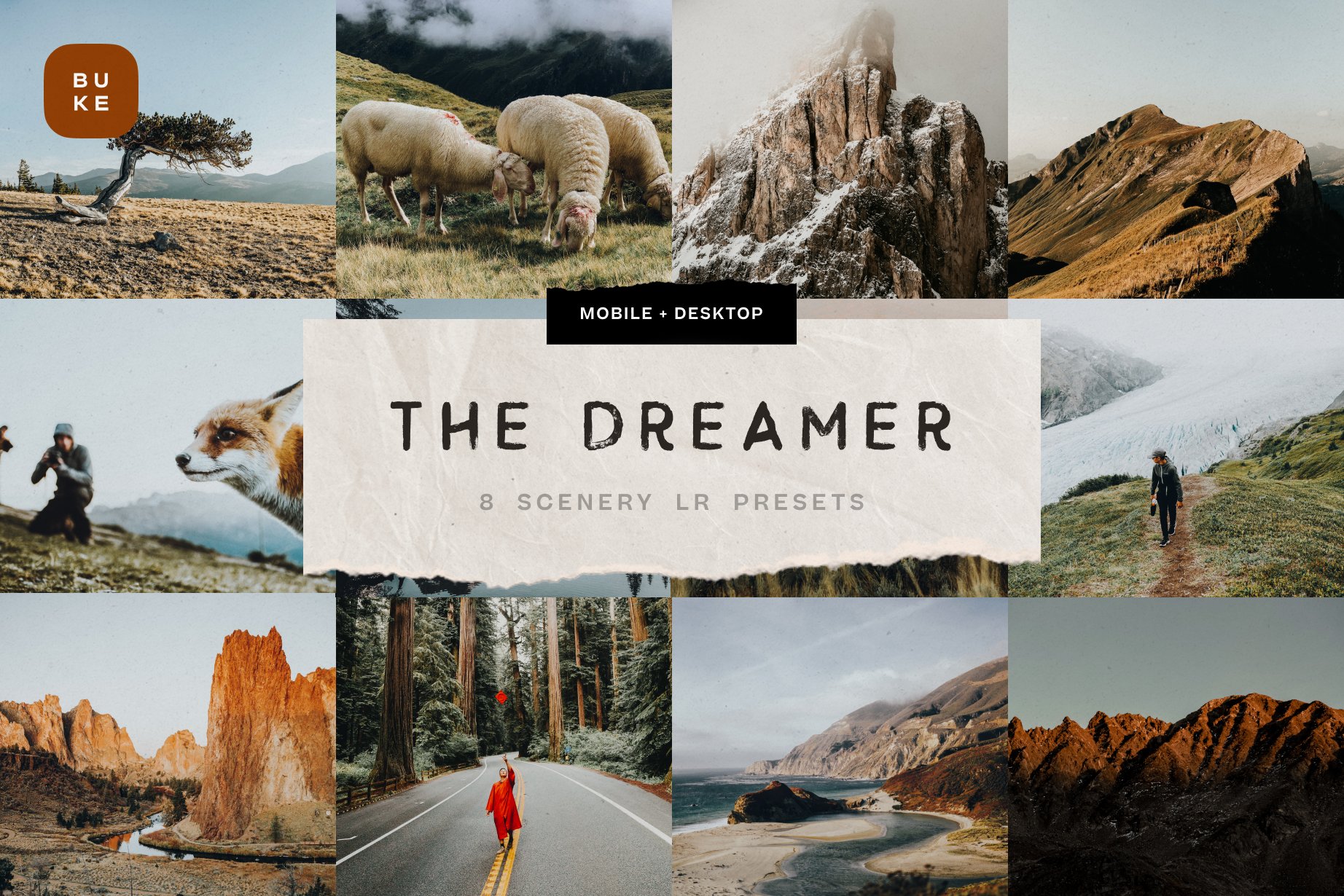 The Dreamer – 8 Lightroom Presetscover image.