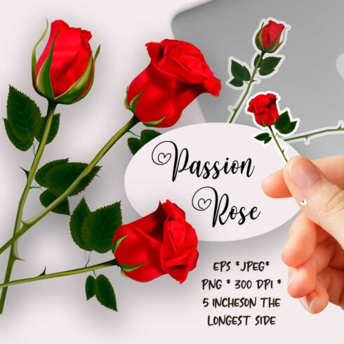 Red Rose Flowers png Cliparts stickers cover image.