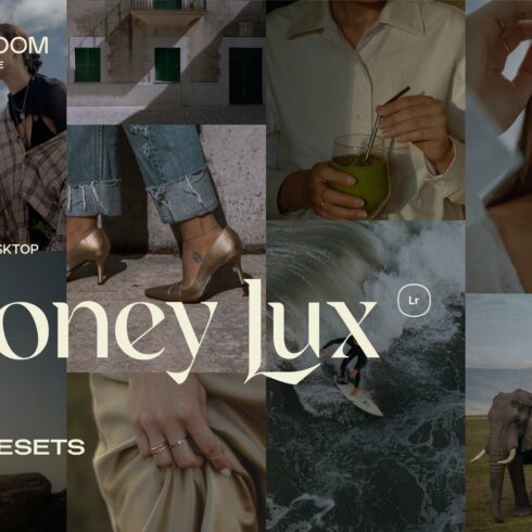 Honey Lux – 5 Chic Lightroom Presetscover image.