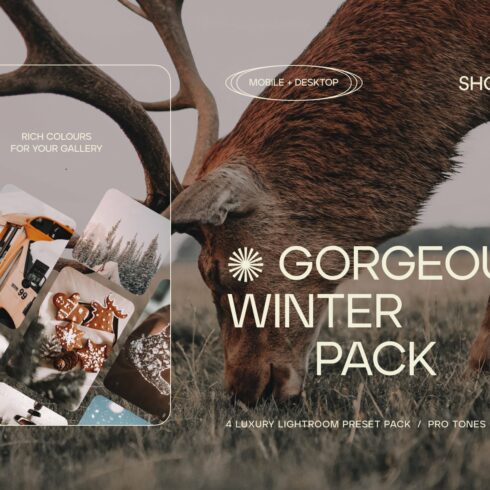 GORGEOUS WINTER / 4 LR Presets Packcover image.