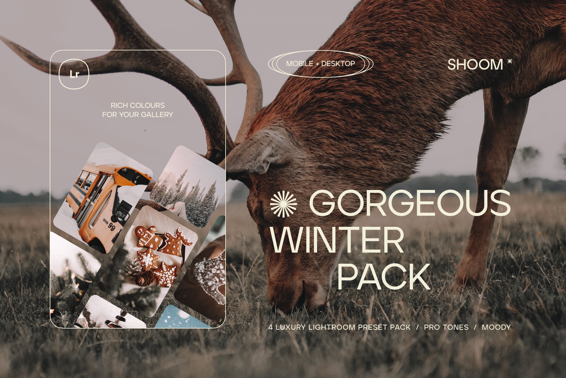 GORGEOUS WINTER / 4 LR Presets Packcover image.